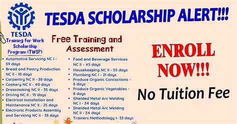 TESDA Scholarship Programs.